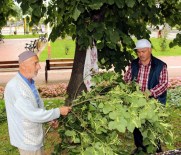 FAHRI YıLMAZ - Altınla Yarışan Ihlamurun Fiyatında Düşüş Bekleniyor