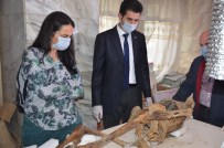 'Atlı Kadın Arkeolojik Buluntuları Araştırma Projesi'ni Türk Uzmanlar İnceleyecek