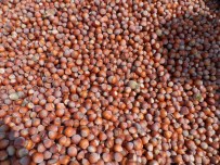 KİMLİK NUMARASI - Destek Ödemeleri Yarın Hesaplarda