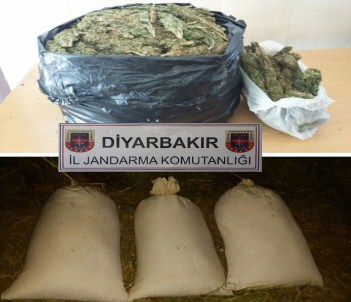 Diyarbakır'da 52 Kilo Esrar Ele Geçirildi
