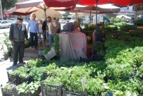 Doludan Zarar Gören Çiftçi Yeninden Fide Dikiyor