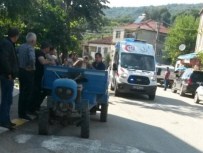 DOKURCUN - Ihlamur Ağacından Düşen Şahıs Hayatını Kaybetti