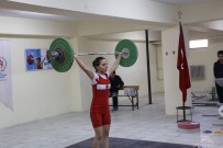 HALTER ŞAMPİYONASI - Minikler Türkiye Halter Şampiyonası Burhaniye'de Yapılacak