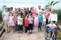 KEMİK İLİĞİ - Nakilli Çocuklar Kelebeklerle Buluştu