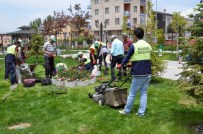 Palandöken Çiçek Bahçesi Gibi