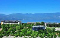 Yaz Okulu Başlıyor