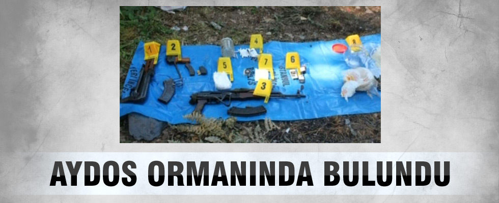 Aydos ormanında PKK cephaneliği bulundu
