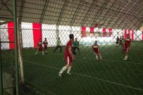 NEDİM ÖZBEY - Bitlis'te 'Yeni Bir Başlangıç Yolunda' Projesi