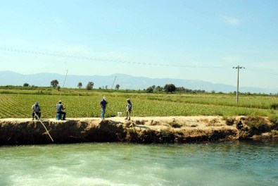 Olta Balık Yerine Yüksek Gerilme Takıldı