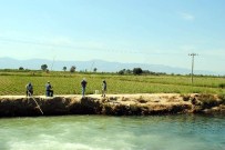 Olta Balık Yerine Yüksek Gerilme Takıldı