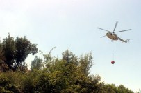 Salihli'de Orman Yangın