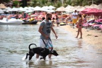 TURİZM CENNETİ - Bodrum 45 Dereceyi Gördü