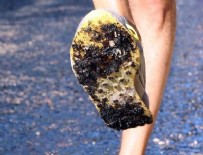 KAYAKÖY - Bu fotoğraf bugün çekildi!