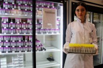 KEMİK İLİĞİ - Dünyanın Aradığı Kan Türkiye'de