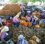 KAYAKÖY - İzmir Büyükşehir Ödemiş'ten Patates Alımına Başladı