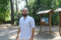 TIP DOKTORU - Muğla'da Yaban Hayatı Tehdit Altında