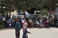 FELSEFE - Nusaybinli Terör Mağduru Öğrenciler Mardin'de Sınava Girdi