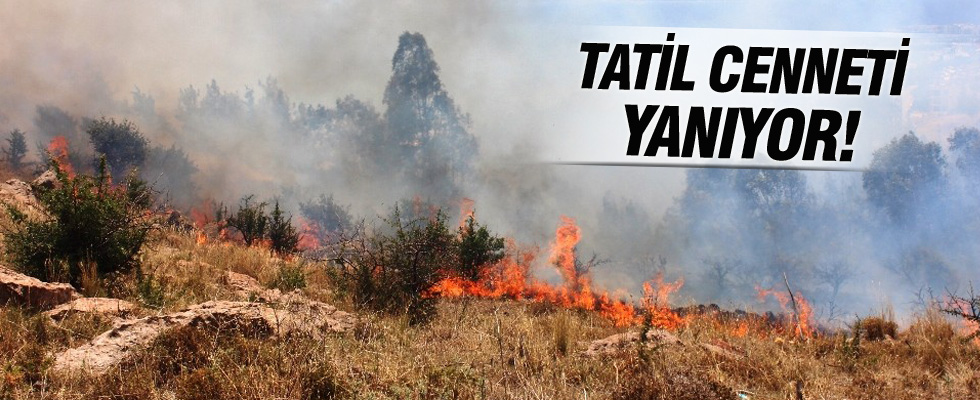 Tatil cennetinde korkutan yangın