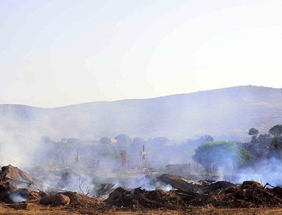 Bodrum'daki makilik alanda çıkan yangın kontrol altına alındı