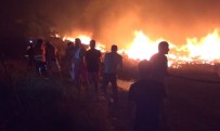 Bodrum'da Yangın 15 Saattir Sürüyor