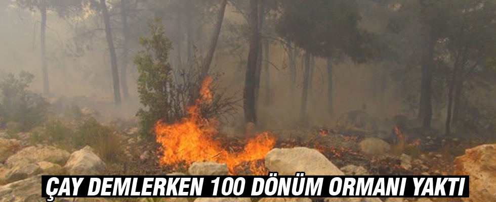 Çay demlerken 100 dönüm ormanı yaktı