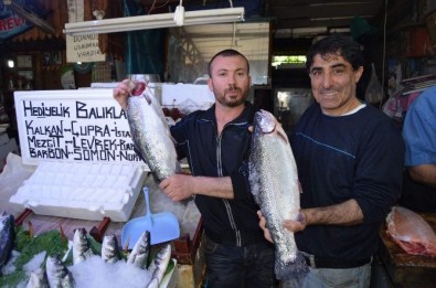 Ramazan'da Kültür Balıklarına İlgi Arttı