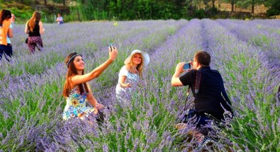 Sakin Şehirde Mis Kokulu Festival