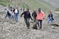 SEL AFETI - Sel sularına kapılan 800 hayvan telef oldu