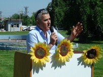 YALÇıN KAYA - Doç. Dr. Kaya, Dünya Ayçiçeği Derneği Başkanlığı'nı Sırbistan'a Devretti