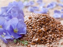 OMEGA - 'Kabızlığa Çare; Keten Tohumu'