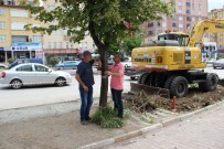Kdz. Ereğli'de TEK Kişilik Ağaç Eylemi