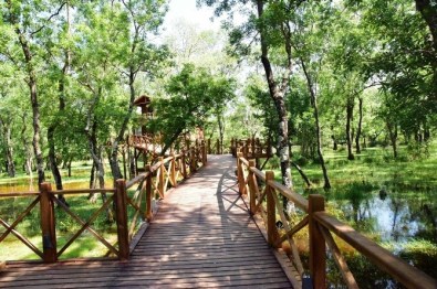 Kuş Cenneti Dünya Çevre Günü'ne Ev Sahipliği Yapacak