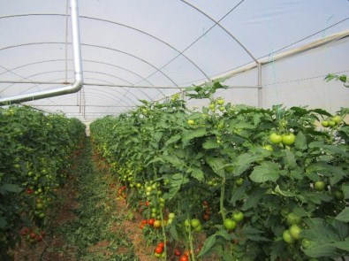 Orman Ve Su İşleri Bakanlığı'ndan Orman Köylülerine Destek