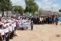 Sivas'ta Dünya Çevre Günü Kutlandı