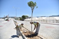 KALDIRIM ÇALIŞMASI - Alanya Konaklı Mahallesi'ne Cadde Yenileme Çalışmaları
