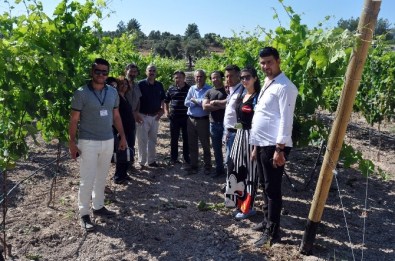 Büyükşehir Bodrum'da Çiftçileri Bilgilendirdi