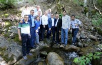 ŞAMİL TAYYAR - Gaziantep Büyükşehir Belediye Başkanı Fatma Şahin Açıklaması