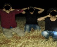 Türkiye'ye Girmeye Çalışan 3 Daeş Üyesi Yakalandı