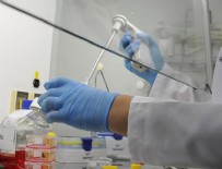 Ar-Ge'ye geçen yıl 6,2 milyar lira harcandı