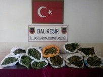 Balıkesir'de 65 Kilo Esrar Ele Geçirildi