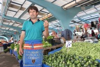 GIRIT - Edirne'de Girit Kabağı Üretti