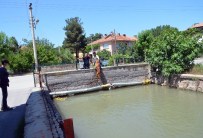 SOKAK KÖPEĞİ - Sulama Kanalına Düşen Köpeği İtfaiye Kurtardı