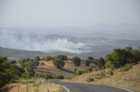 Uşak'ta Buğday Tarlası Ve Makilik Alanda Yangın