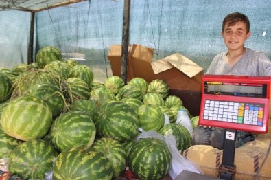 Cincin Karpuzu Pazar Tezgahlarında Yerini Aldı