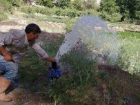 Demirci'de 490 Dekarlık Araziye Cansuyu