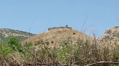 Diyarbakır'da Büyük Operasyon Sürüyor