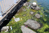 ABDULLAH ŞAHIN - Duyarsız Vatandaş Kirletiyor