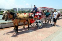 FAYTON - Samsun Sahilinde Nostaljik Gezi