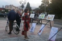 AKŞEHİR BELEDİYESİ - Arnavutluk'ta 'Nasreddin Hoca İşkodra'da' Etkinliği