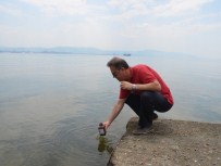 KÜÇÜKKUMLA - Bursa'nın Sahilleri Temiz Çıktı